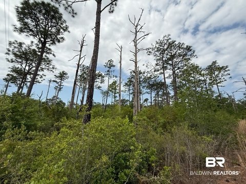 Land, Milton, FL