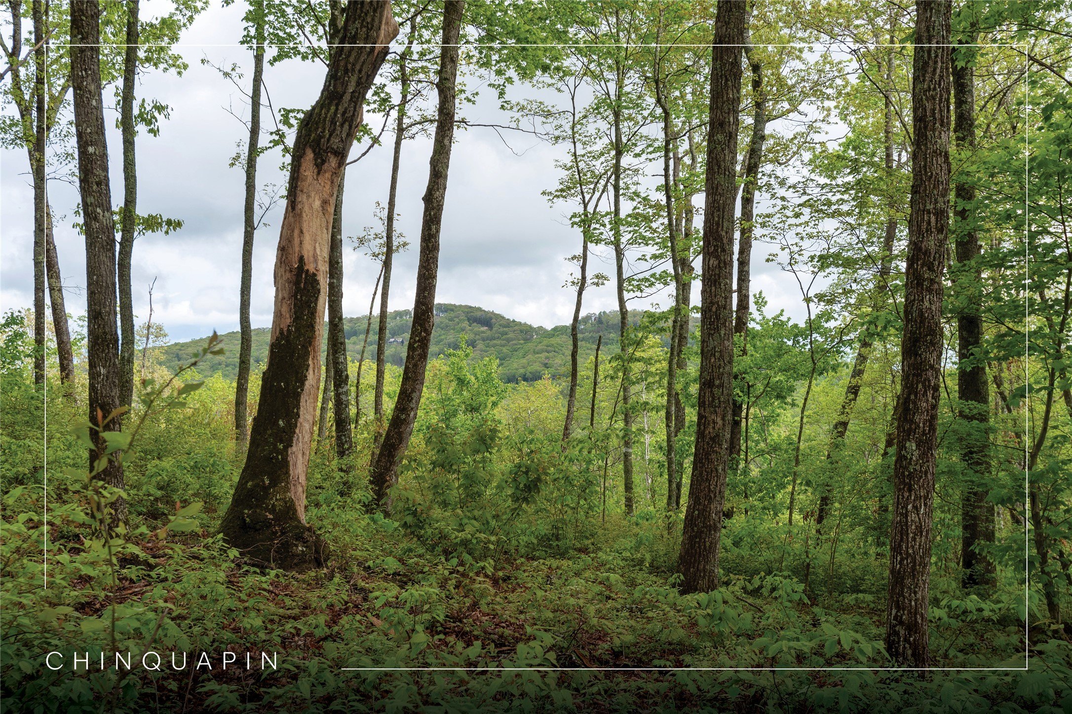 Glenville Land with Mountain Views