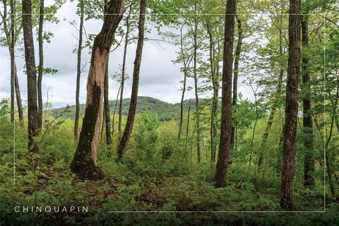 Glenville Land with Mountain Views