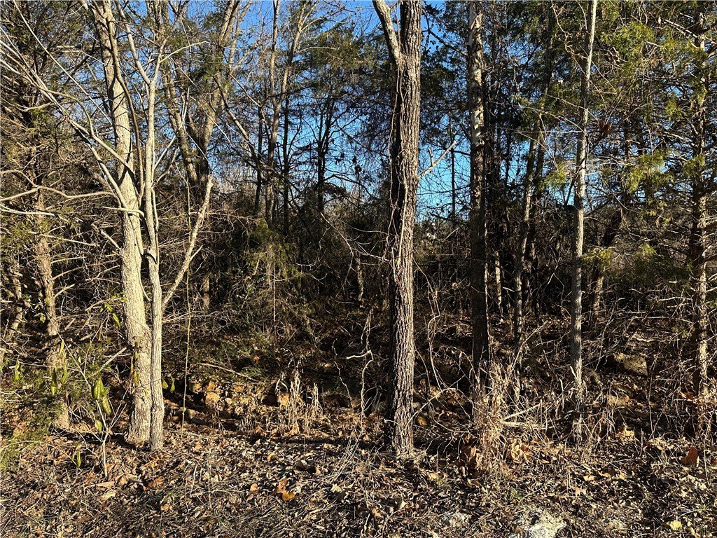 Unrestricted Land Near Mountain Home