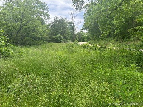 25 Acres Near Lake Ozarks