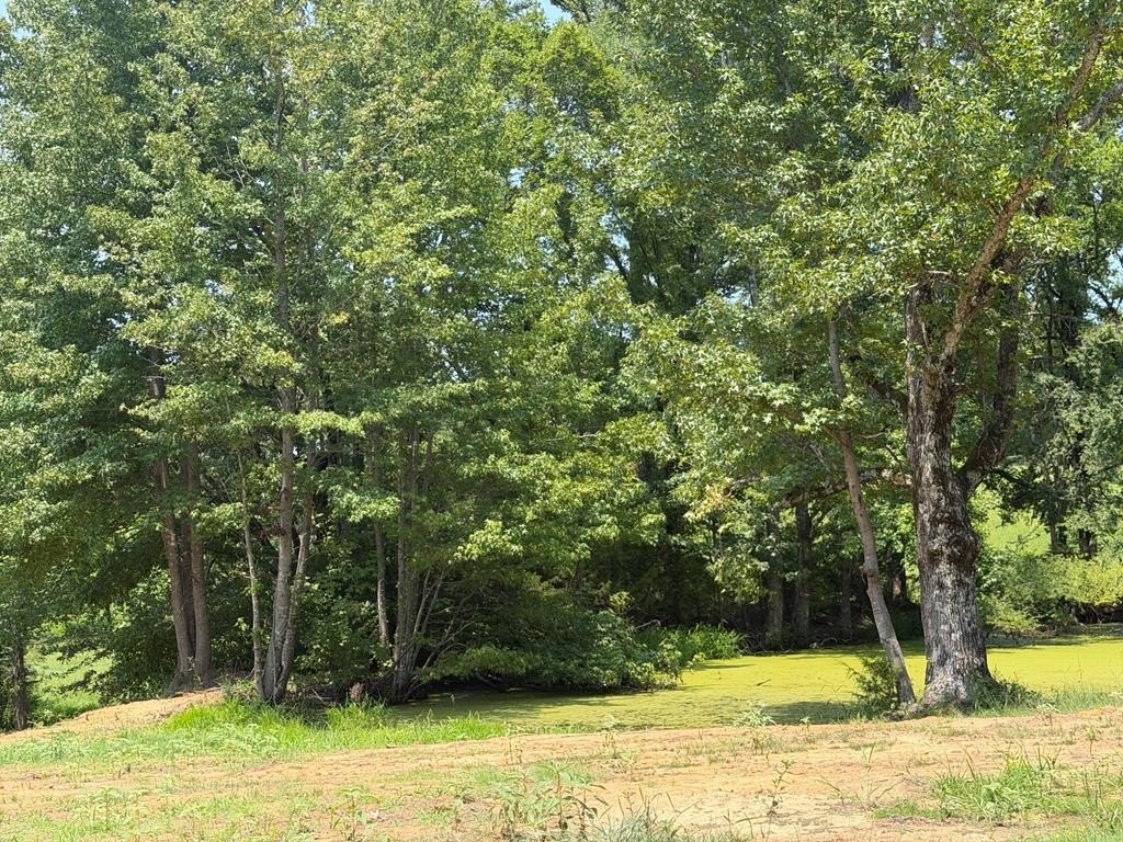 Picture 26