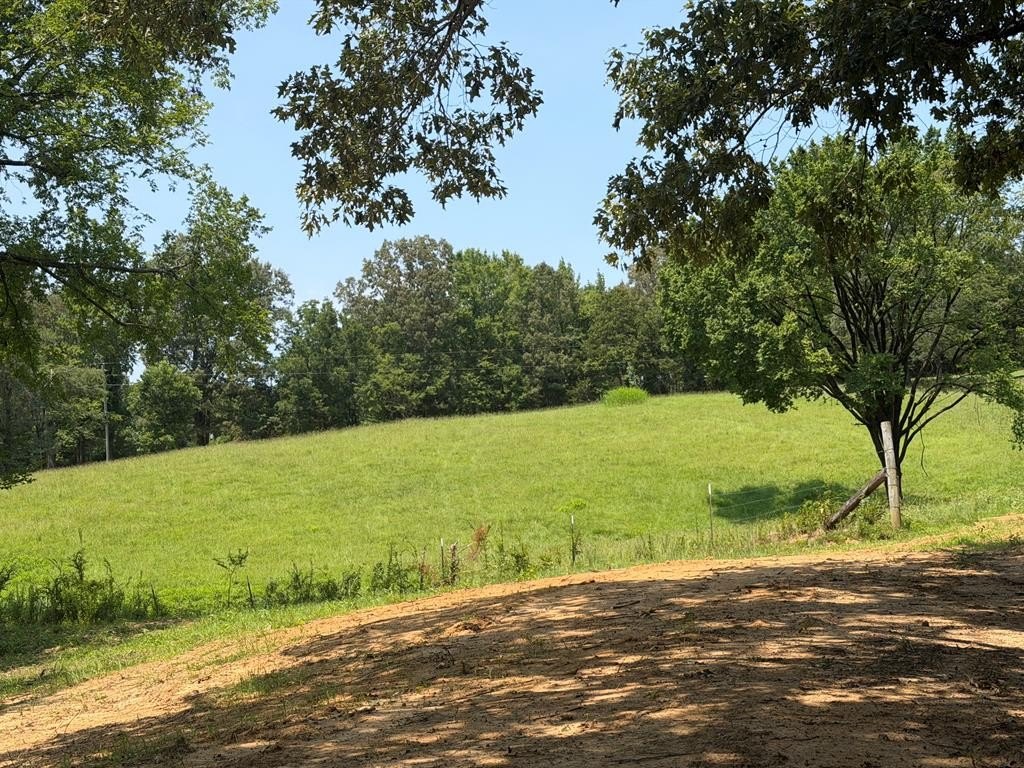 Picture 28
