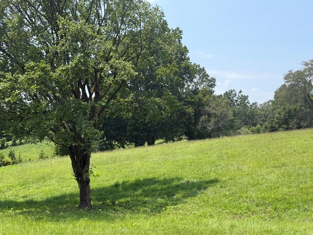 Picture 24