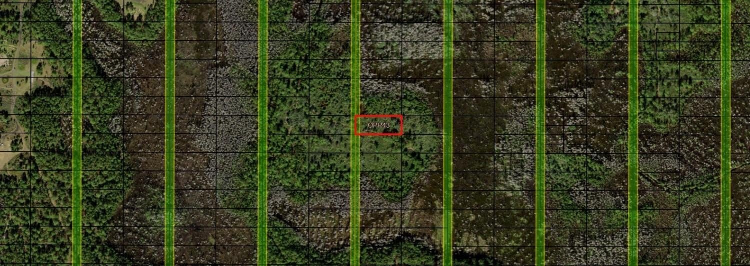 Polk City Acreage for Sale