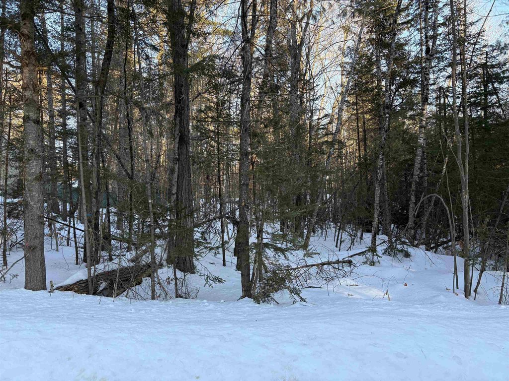 Picture 15