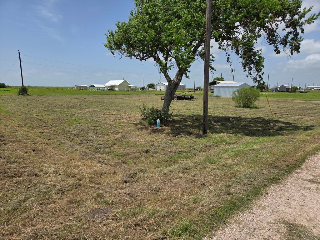 Picture 6
