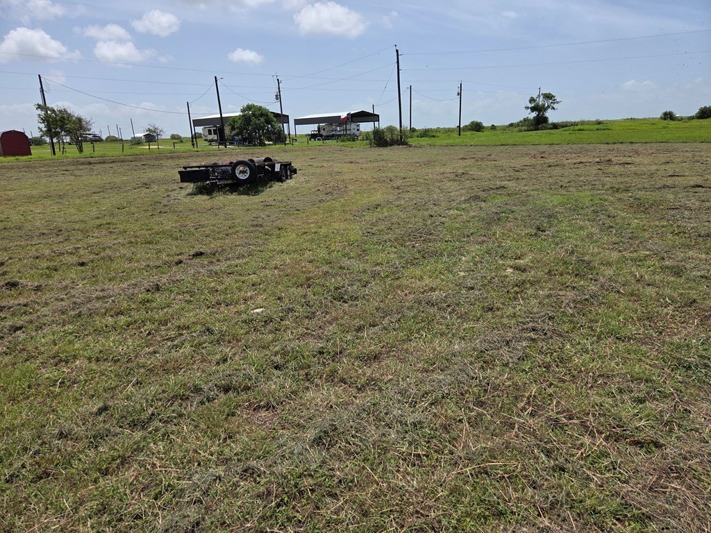 Picture 4