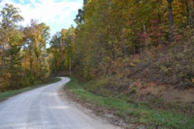 Picture 14