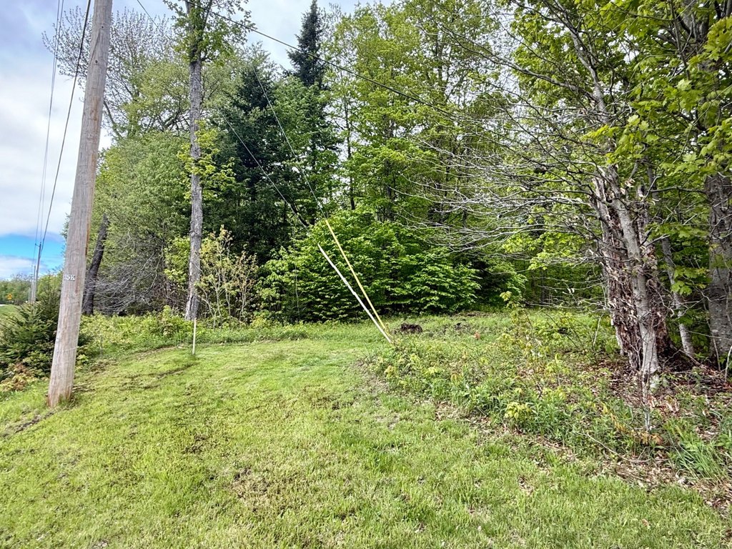 Picture 2