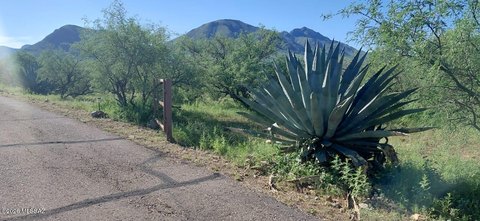 Land, Rio Rico, AZ