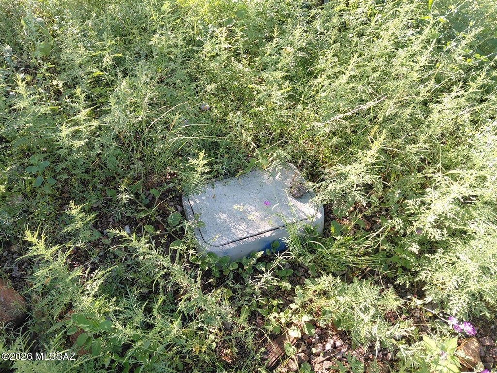 Picture 5