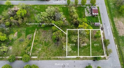 Detroit Land Infill Opportunity