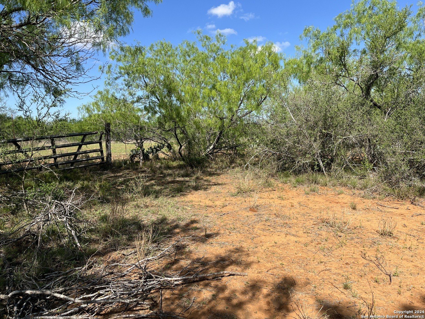 Dilley, TX Land For Sale