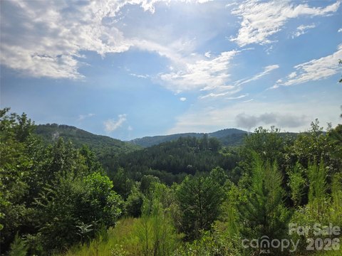 LAND - Bostic, NC