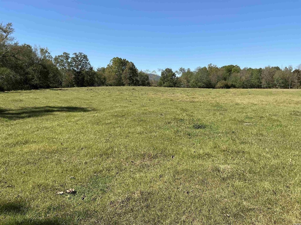 Picture 15