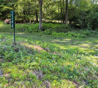 Wooded Homesite Lot in Conservation District