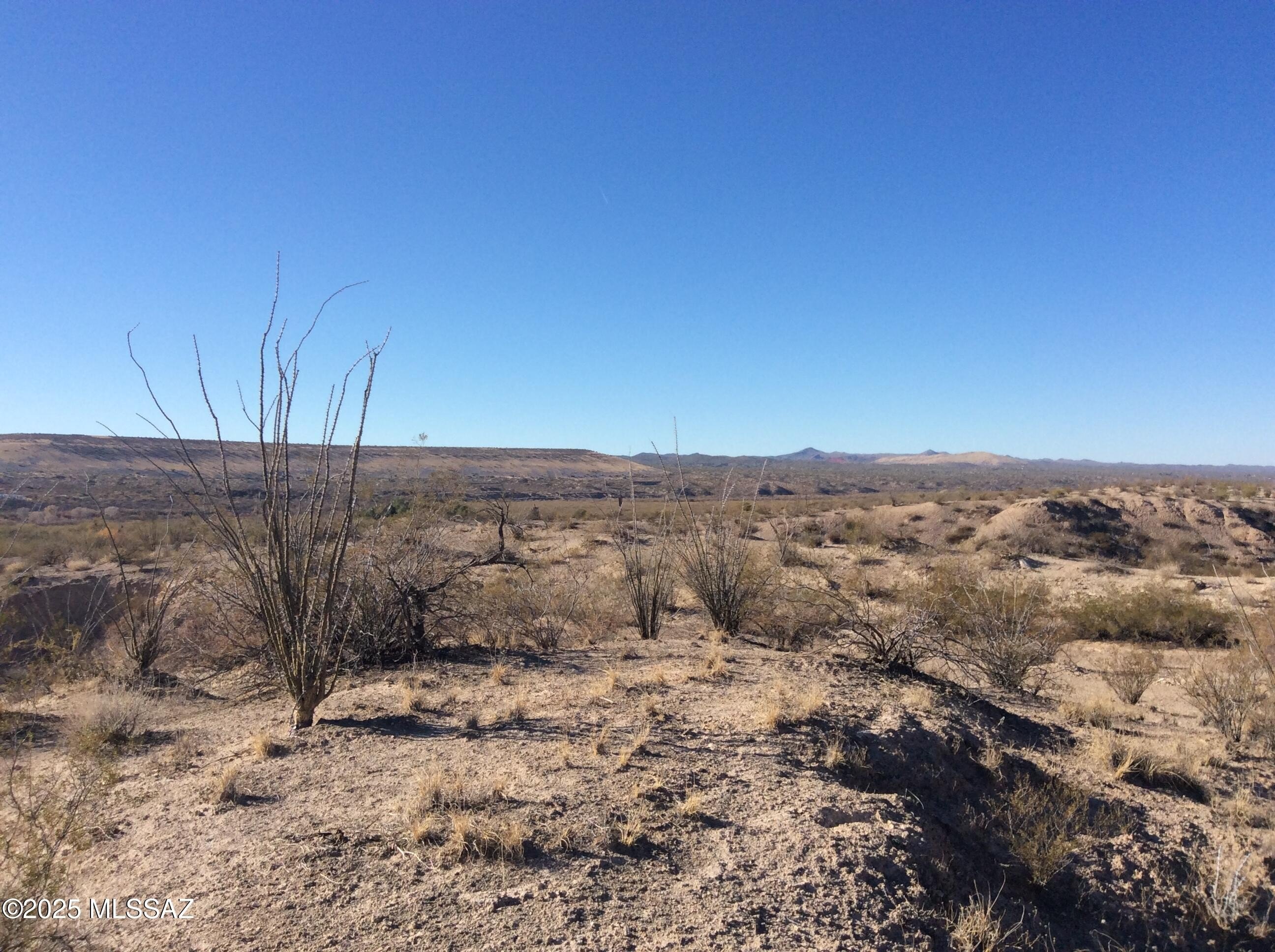 80 Acres Horse Property Land