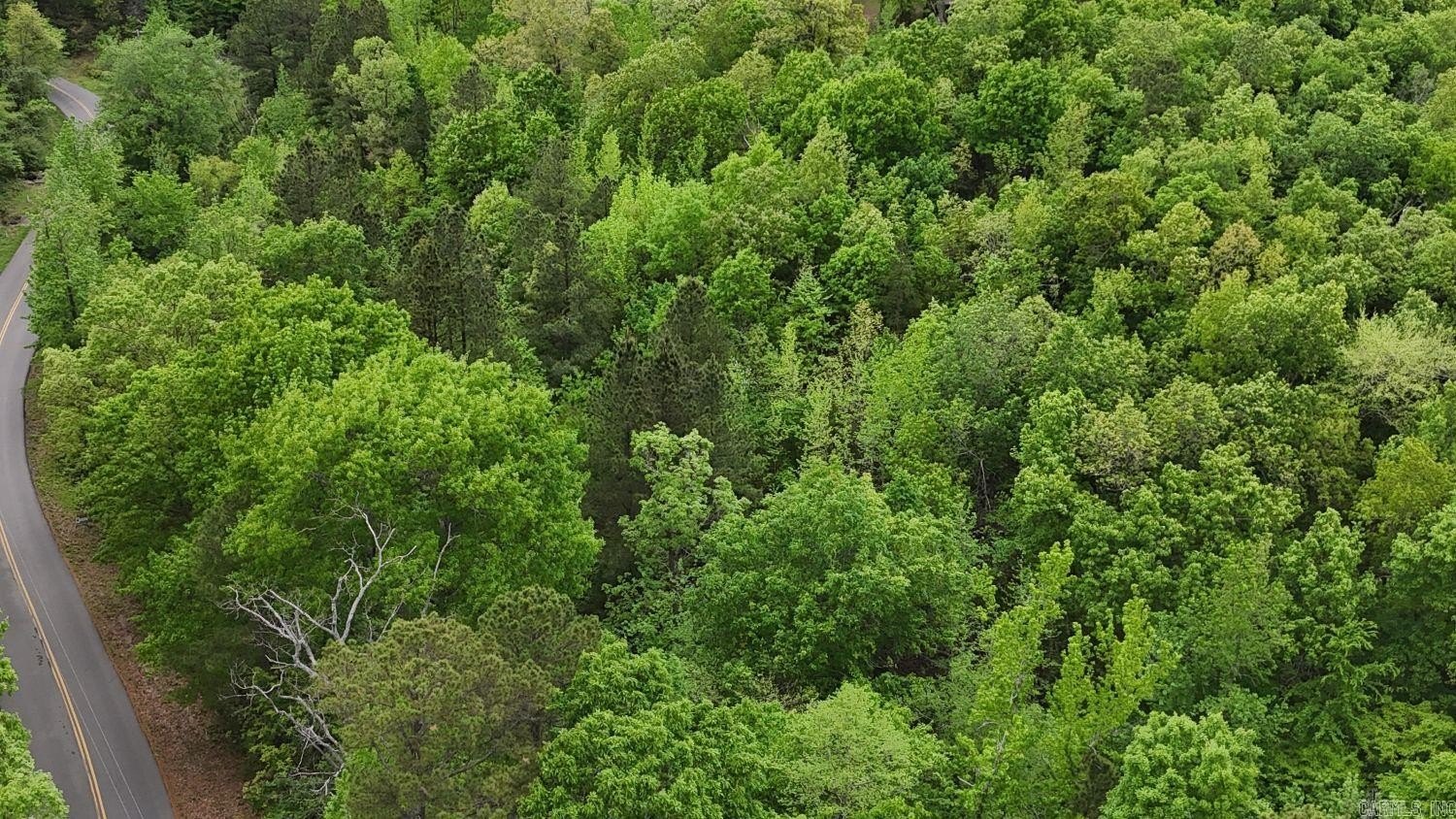 Wooded Land Near Brier Creek