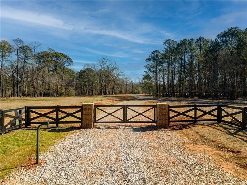 Picture 3