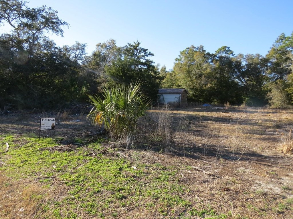 Picture 16