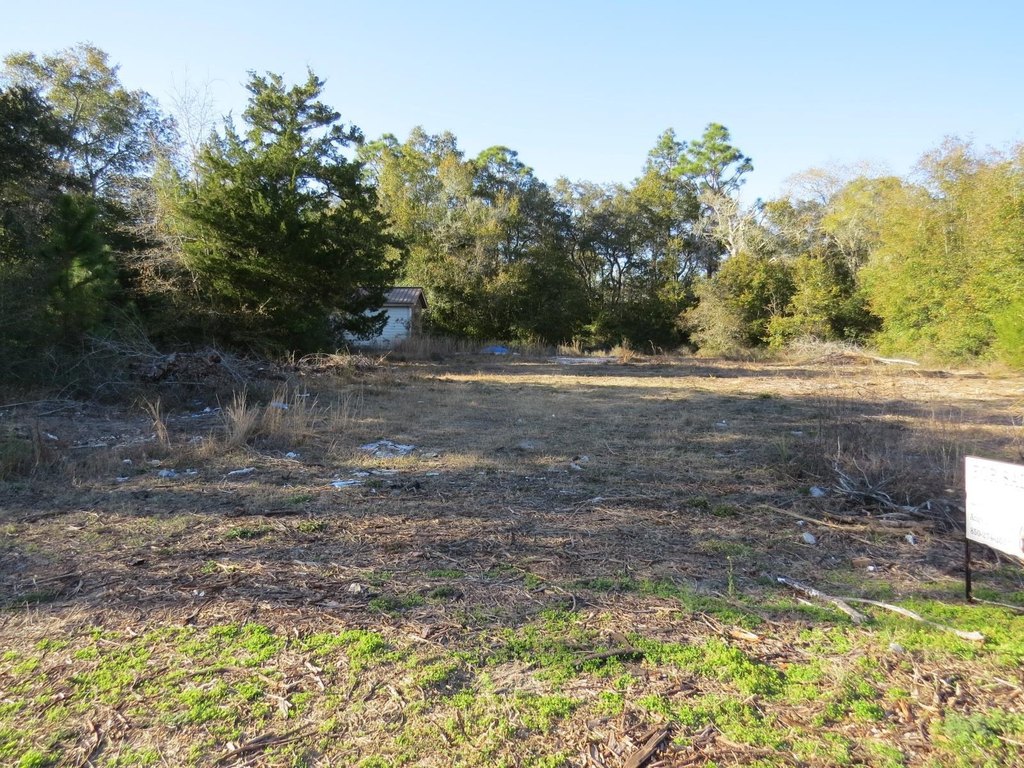 Picture 6