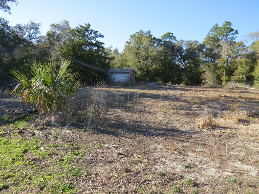Picture 15