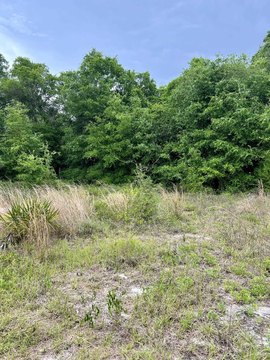 LAND - Lanark Village, FL