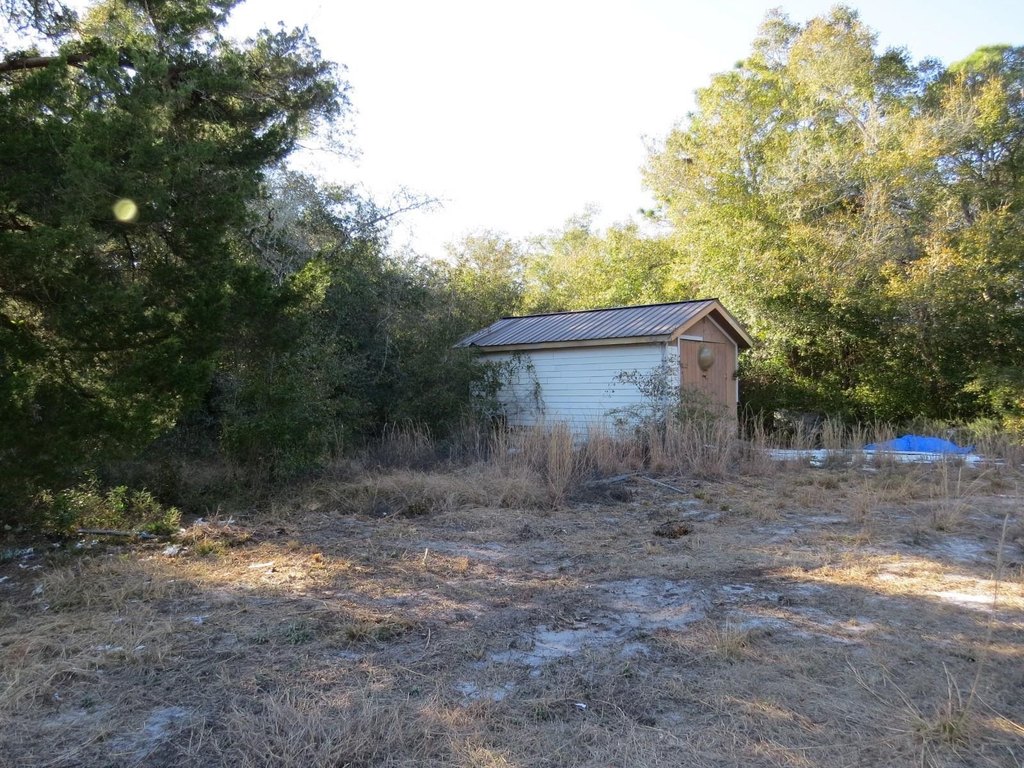 Picture 17