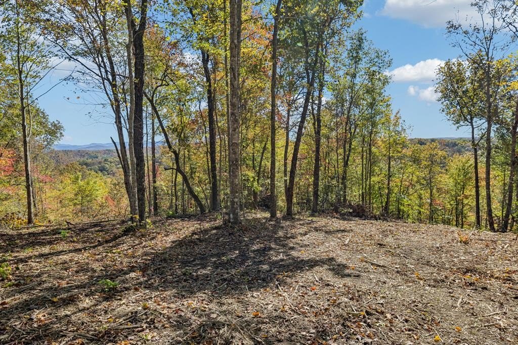 Land in Quiet Scott County
