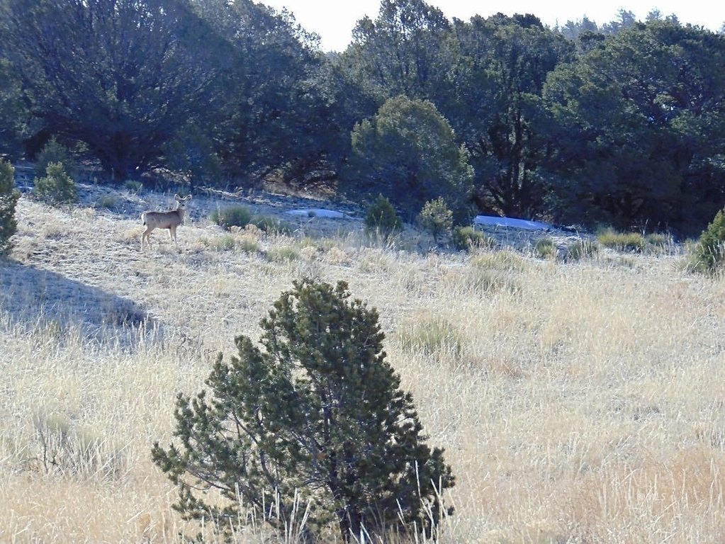 Picture 22