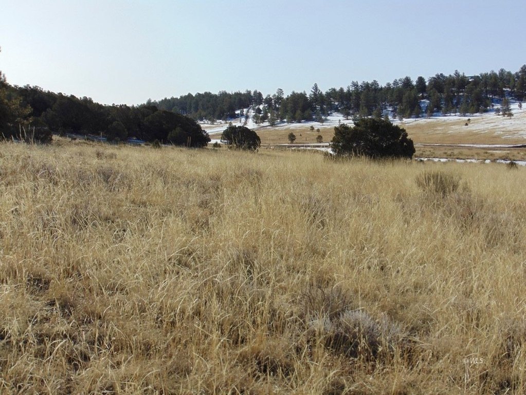 Picture 24