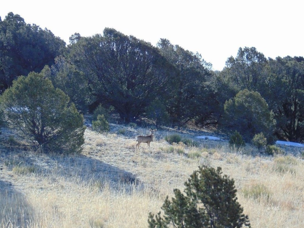 Picture 23