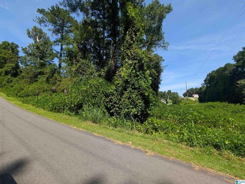 LAND/LOTS, WEAVER, AL