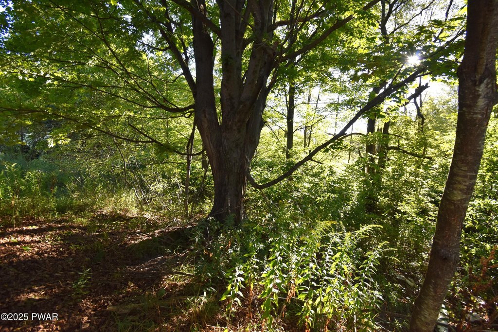 Picture 9