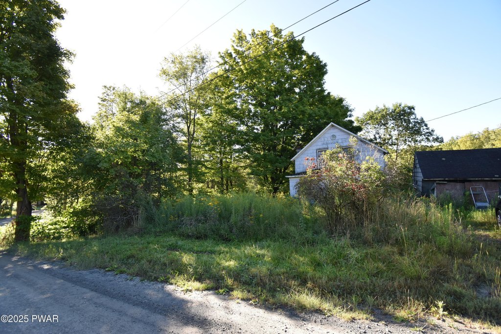 Picture 16