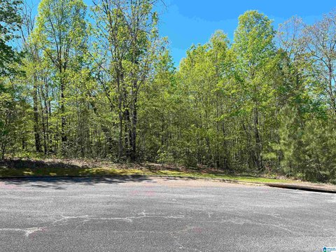 LAND/LOTS, SPRINGVILLE, AL