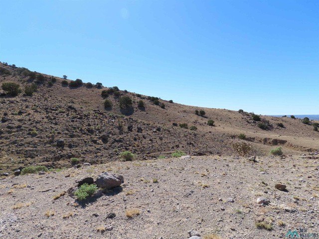Picture 36