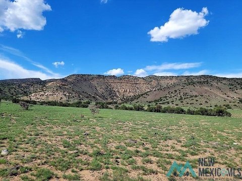 Land, San Fidel, NM