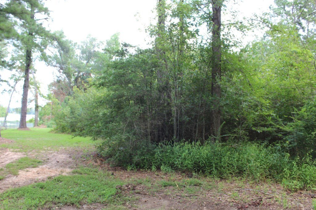 Picture 4