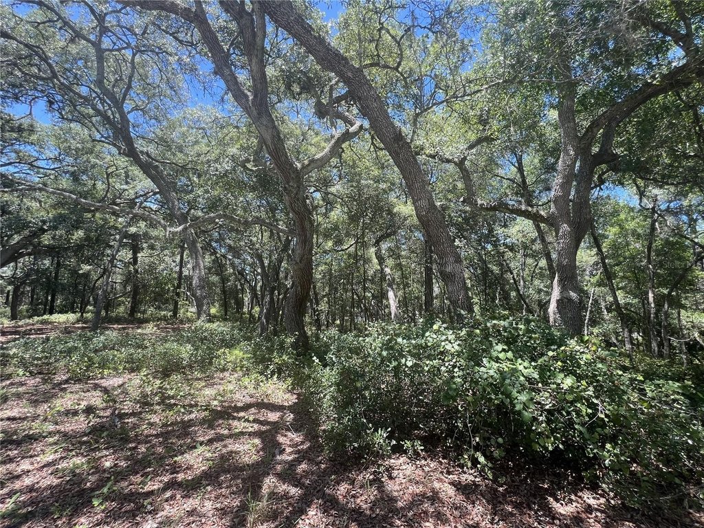 Picture 16