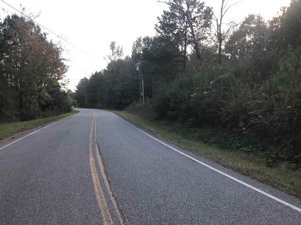 Picture 19