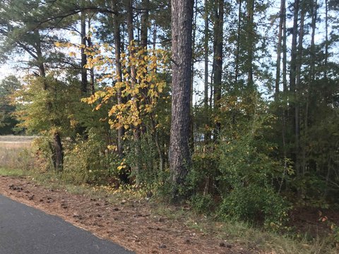 Cowpens Land For Sale