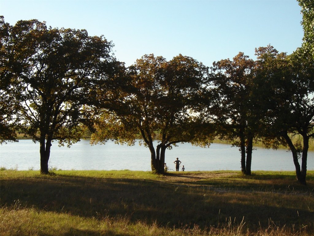 Picture 19