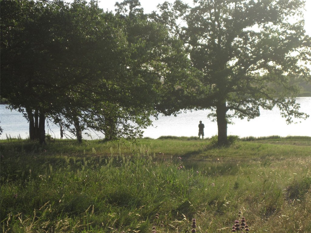 Picture 5
