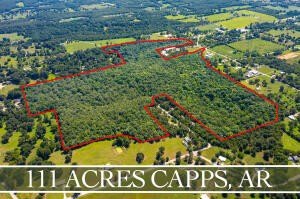 111 Acre Wooded Land Parcel