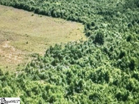 Lots/Land, Laurens, SC