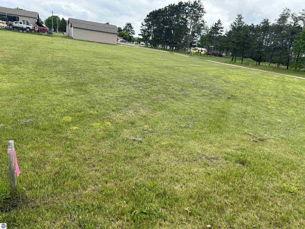 Picture 3