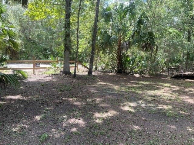 Picture 22