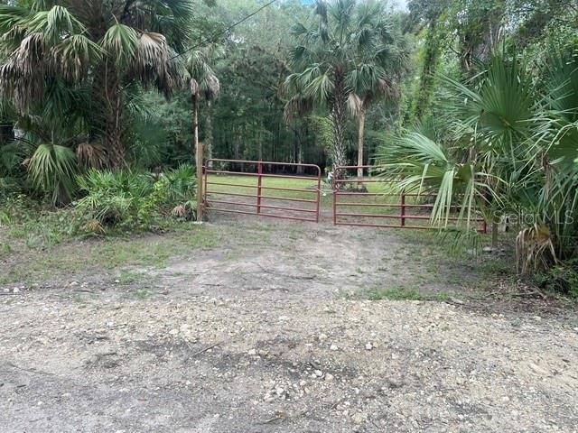 Picture 23